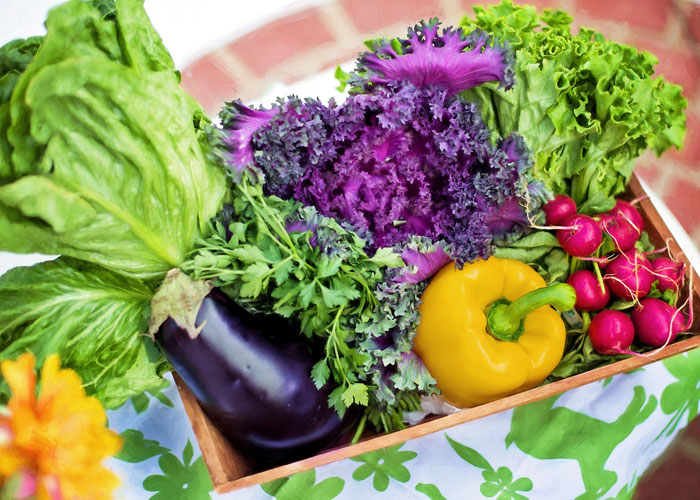 Local Food Local Food